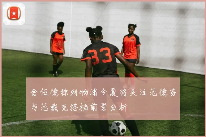 舍伍德称利物浦今夏将关注范德芬与范戴克搭档前景分析