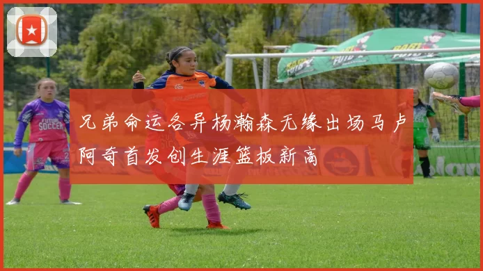 兄弟命运各异杨瀚森无缘出场马卢阿奇首发创生涯篮板新高