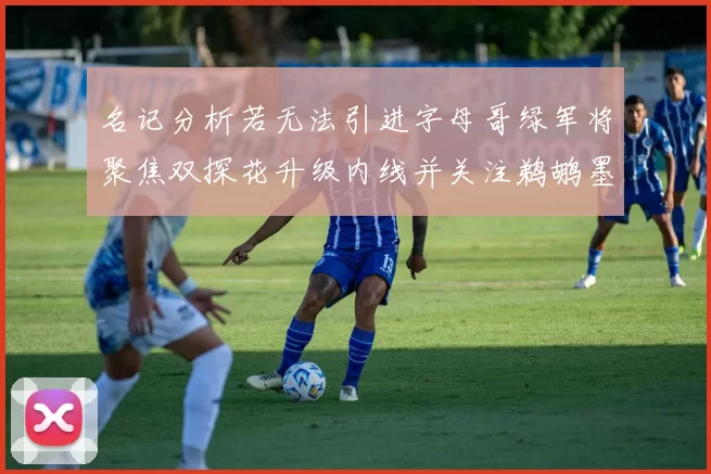 名记分析若无法引进字母哥绿军将聚焦双探花升级内线并关注鹈鹕墨菲